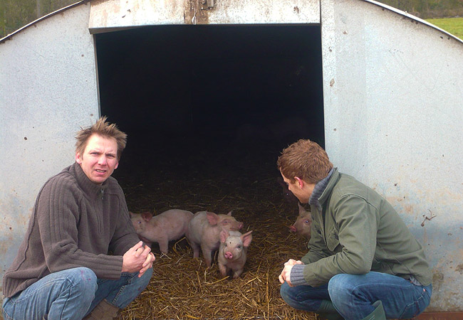 Nick and pigs with Tom Aitken Nick and pigs with Tom Aitken