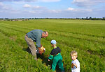 Carrot Test Digs Carrot Test Digs