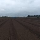 Destoning the first field of Triplo