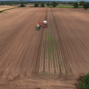 Potato harvesting 2022 – filling boxes